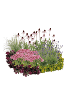 pflegeleicht & trockentollerant – fertiges Staudenbeet