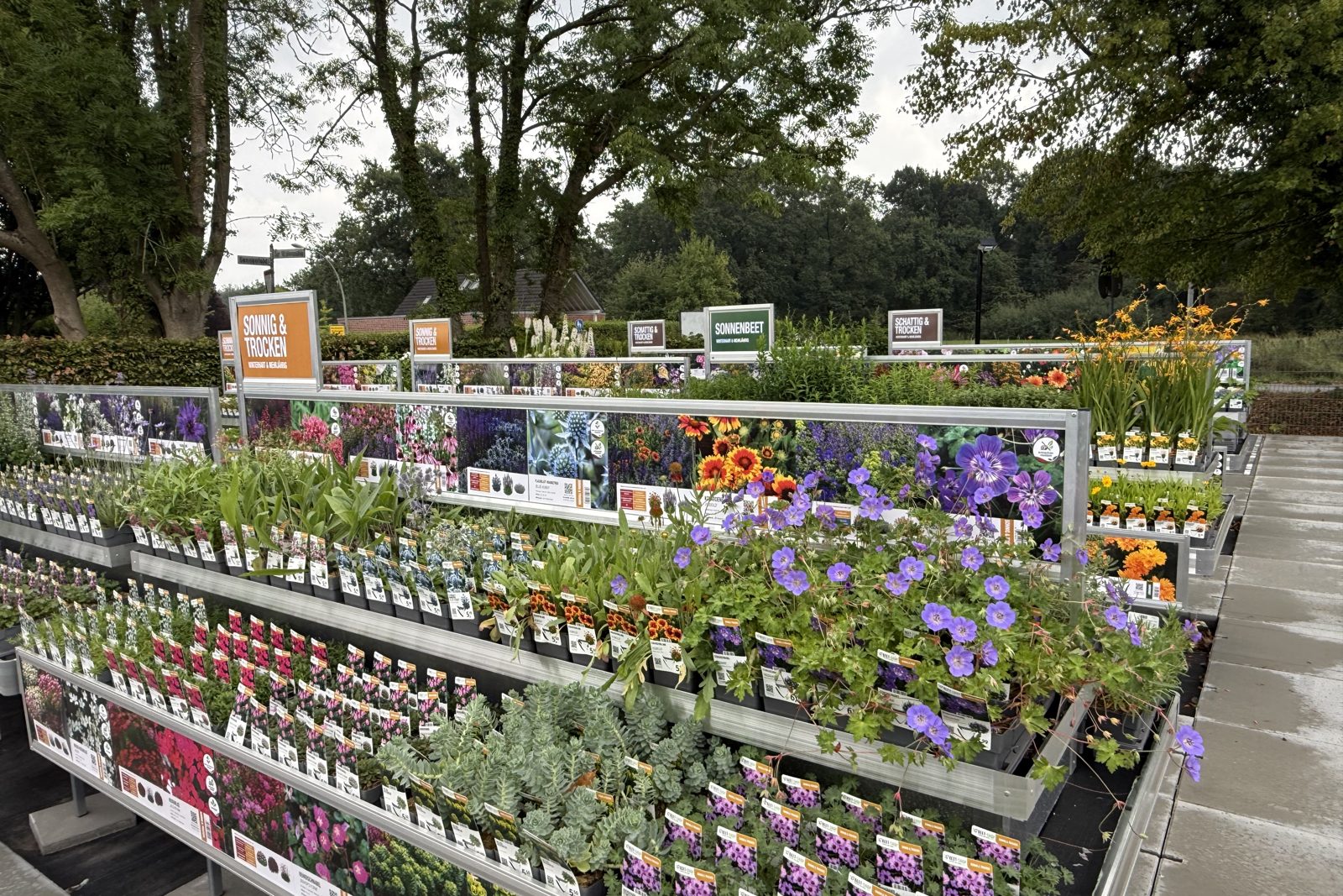Ich suche Ideen für meinen Garten
